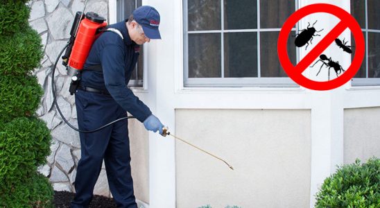 Şile Böcek İlaçlama böcek ilaçlama ve haşere kontrolü — ilaclama-tr.com